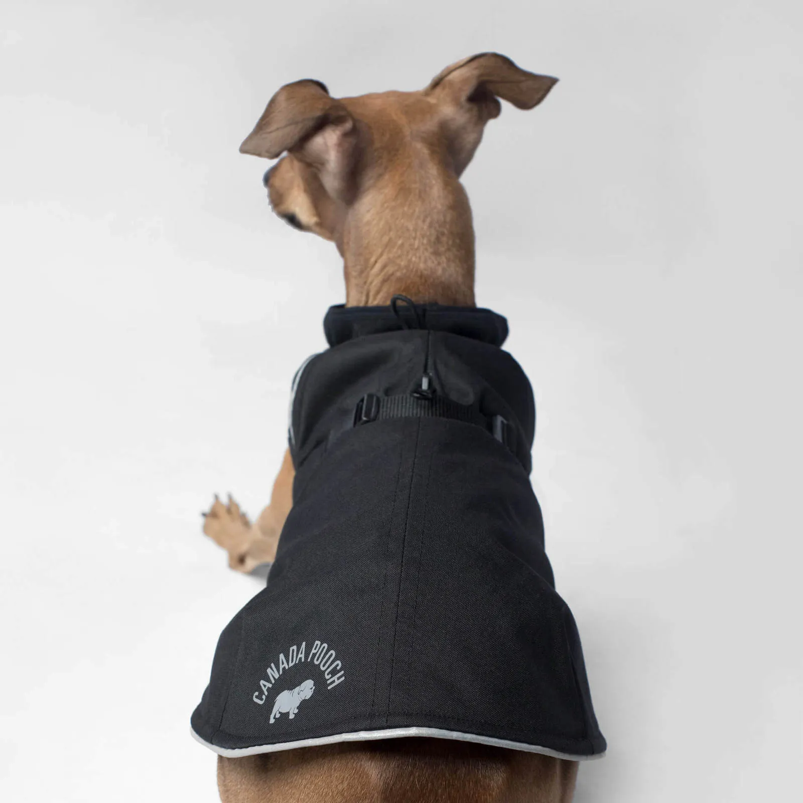 Canada Pooch - Expedition Coat - Black SALE