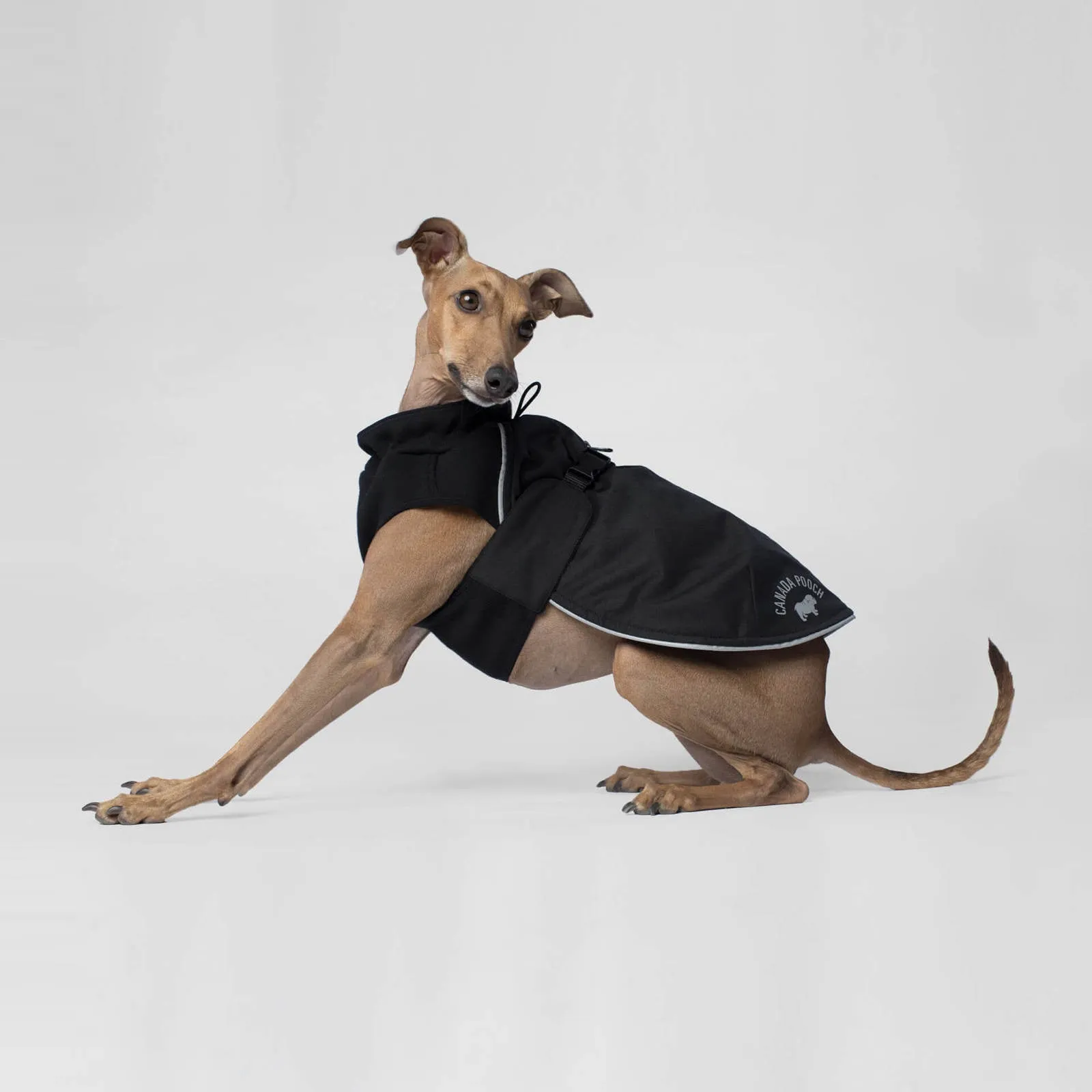 Canada Pooch - Expedition Coat - Black SALE