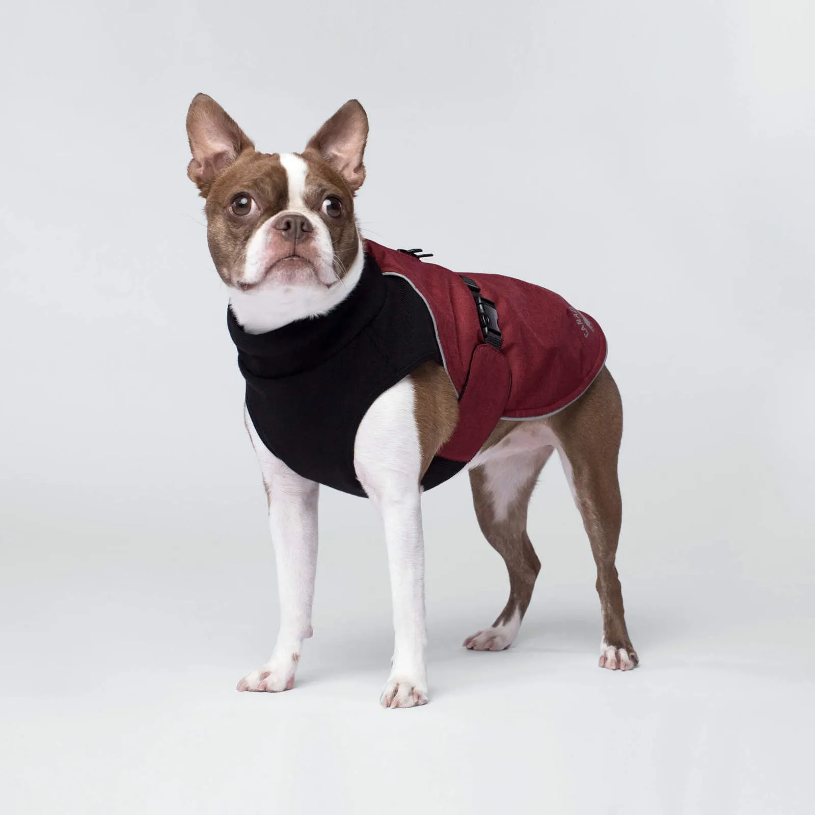 Canada Pooch Expedition Coat Red SALE