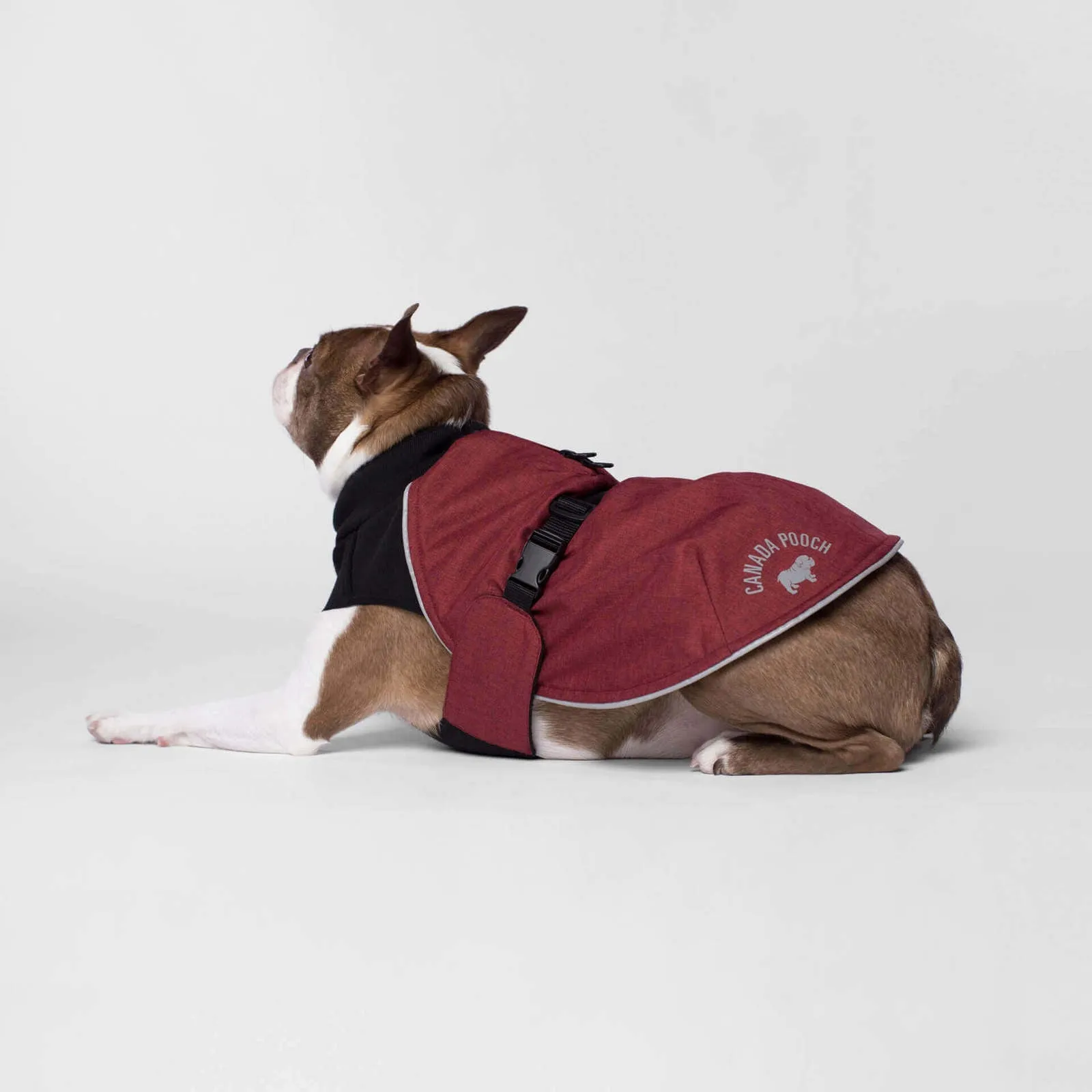 Canada Pooch Expedition Coat Red SALE