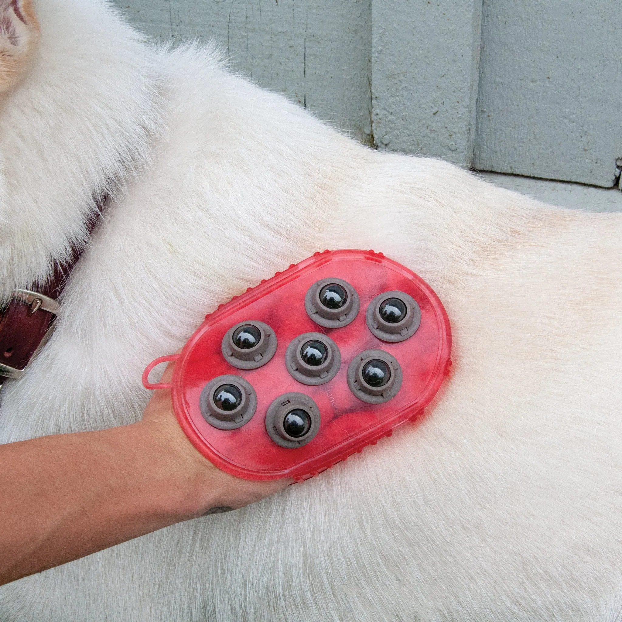 Magnetic Jelly Scrubber