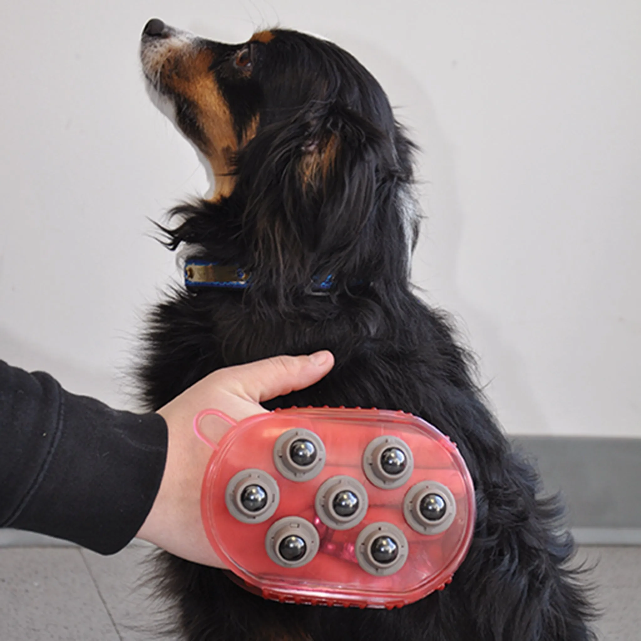 Magnetic Jelly Scrubber