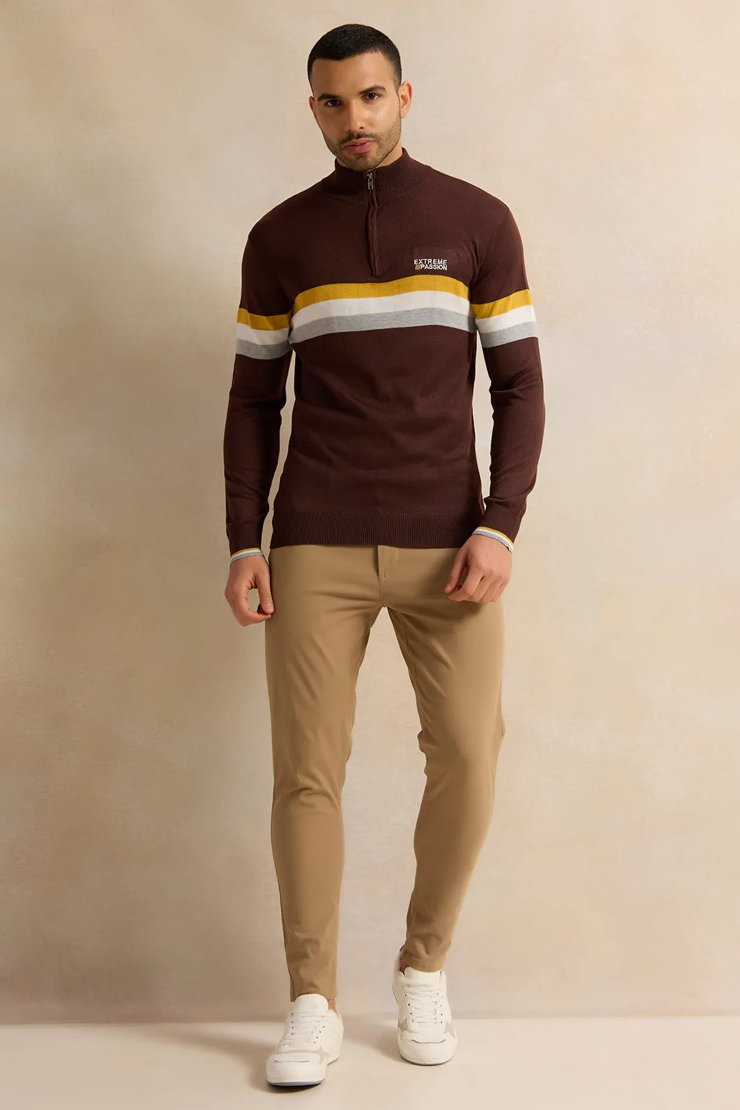 Men Brown Striped Sweater